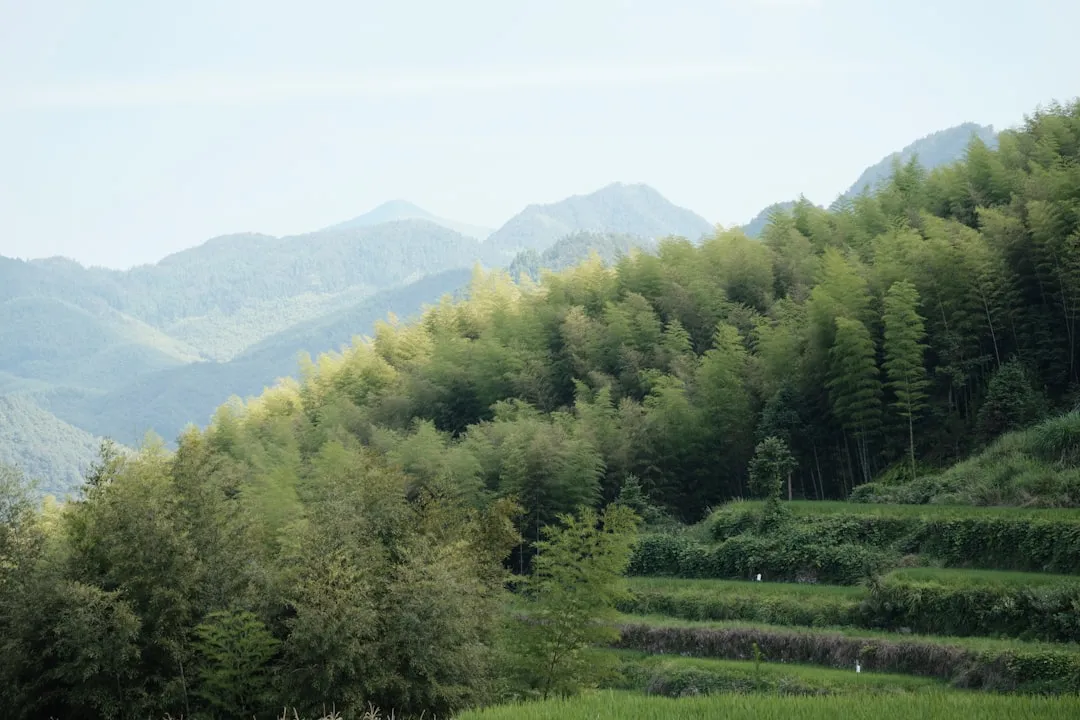 社保计算与个税申报软件集成方案在山西企业的应用实践